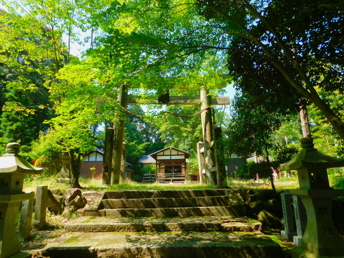 N_Pooh7's tweet photo. 私の地元にはこんな素敵な神社があるのだ
人が多い所は疲れてしまうからこういう神社が好きだ
 #神社
 #写真で伝える私の世界 https://t.co/ukuTtG2pcv