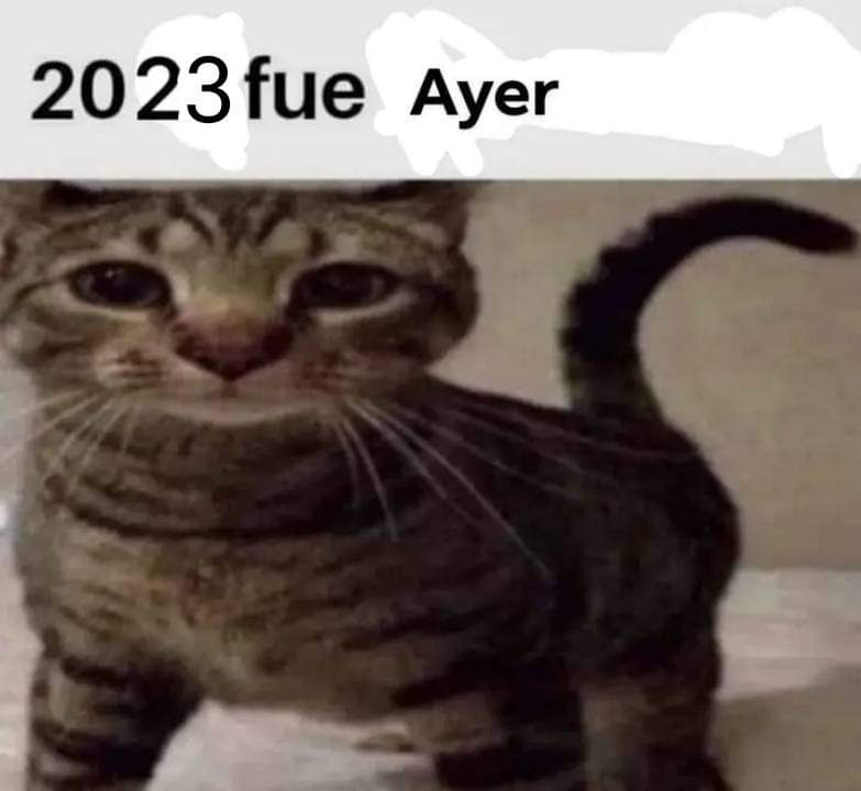 ❤️‍🔥 Miguerawr tweet media