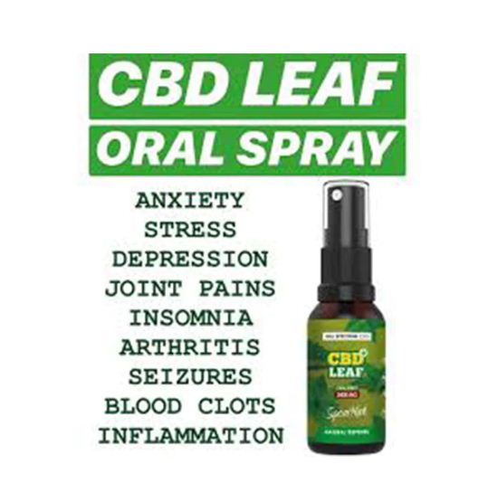 ukvaporwaves's tweet image. Get your daily dose of CBD quickly and easily with the CBD Leaf Mouth Spray. 

👉 ukvaporwaves.com/collections/cb…

#CBDLeaf #OnTheGoWellness #NaturalBalance #CBDSpray #FullSpectrum #HolisticHealth #DiscoverWellness #SelfCare #CBDCommunity #VaporWavesUK