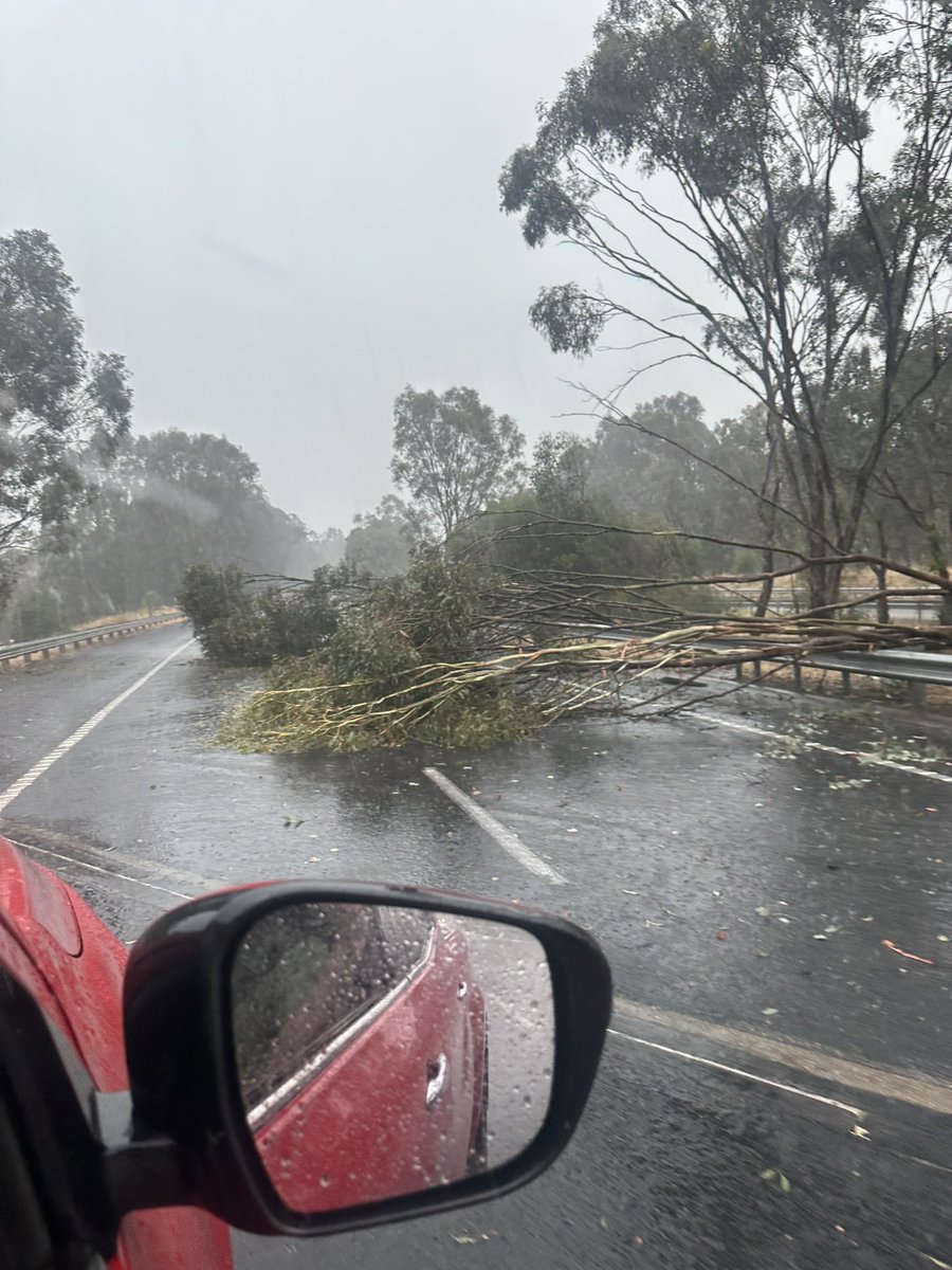 Hume Highway
Just outside Euroa 
Melbourne bound 
Take care all <a href="/jamieleemott/">Jamie Mott</a> sent me this picture and tried to call SAS with no joy