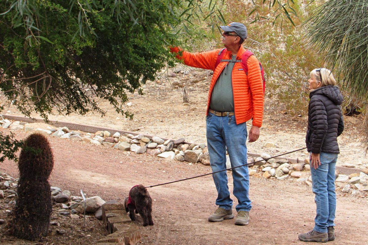 LaEricaTNHerald's tweet photo. Lake Havasu City residents and seasonal travelers participated in Lake Havasu State Park's First Day Hike on Monday morning.

The turnout was one of the largest noted by Dan Roddy, park manager.

@AZStateParks #FirstDayHike #firstdayhikes https://t.co/4QKESIdE02