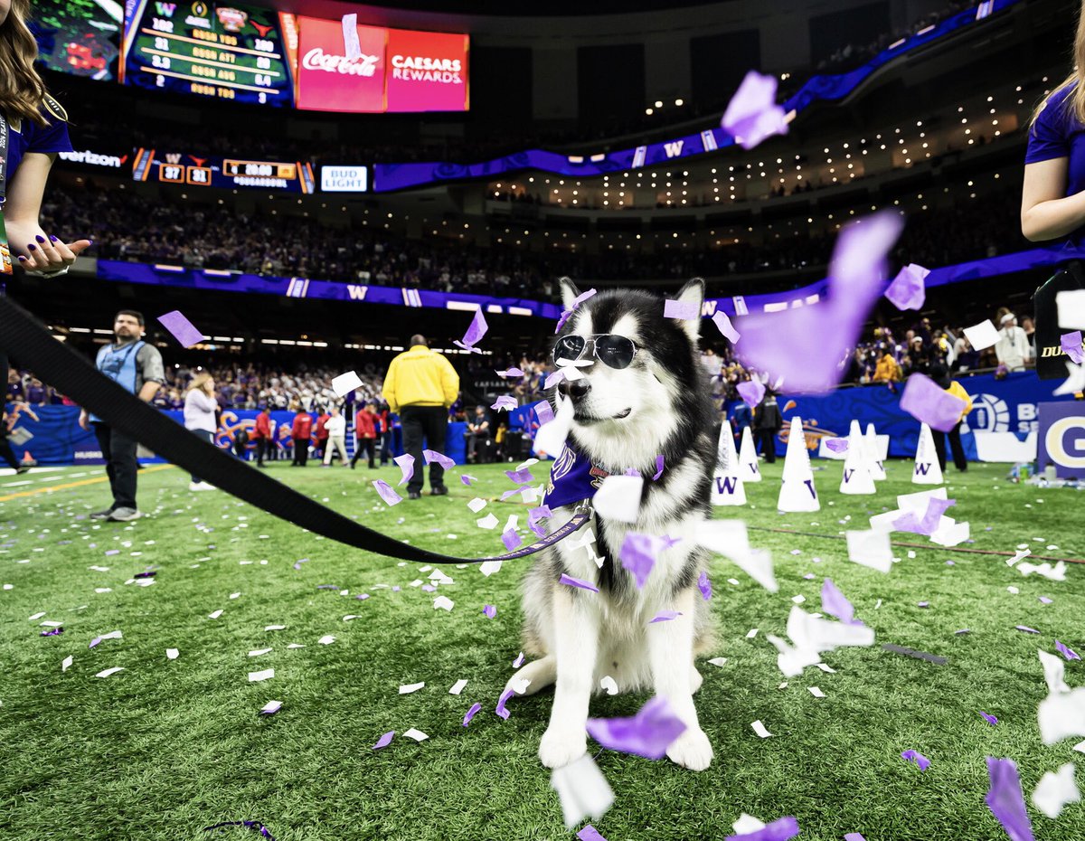 Washington Athletics tweet media