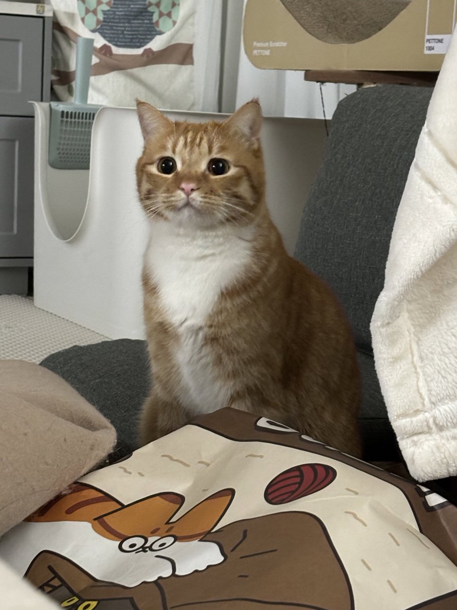 동글동글한 한해 되길!!!🧧