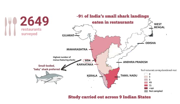 InSeason Fish tweet media