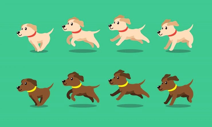 Moople_01's tweet photo. What Is The Best Place To Learn Animation And Multimedia?

Visit to know more-  https://t.co/BDLphLqW4t

#animation2d 
#Animations 
#animationacademyinkolkata
#animationinkolkata https://t.co/ZJ3KWlC3xu