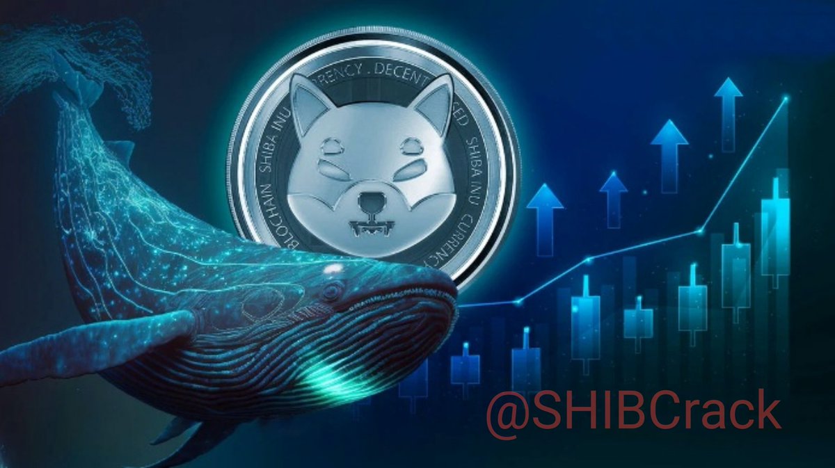 SHIBMortal's tweet photo. Whales continue to bet big on $SHIB 🚀🐋🐋
#SHIBARMY #ShibChain #memecoins #Crypto $BTC #จดหมายปรีดี #สึนามิ #เบียร์thevoice #ShibariumBull https://t.co/vcFYnO9U2w