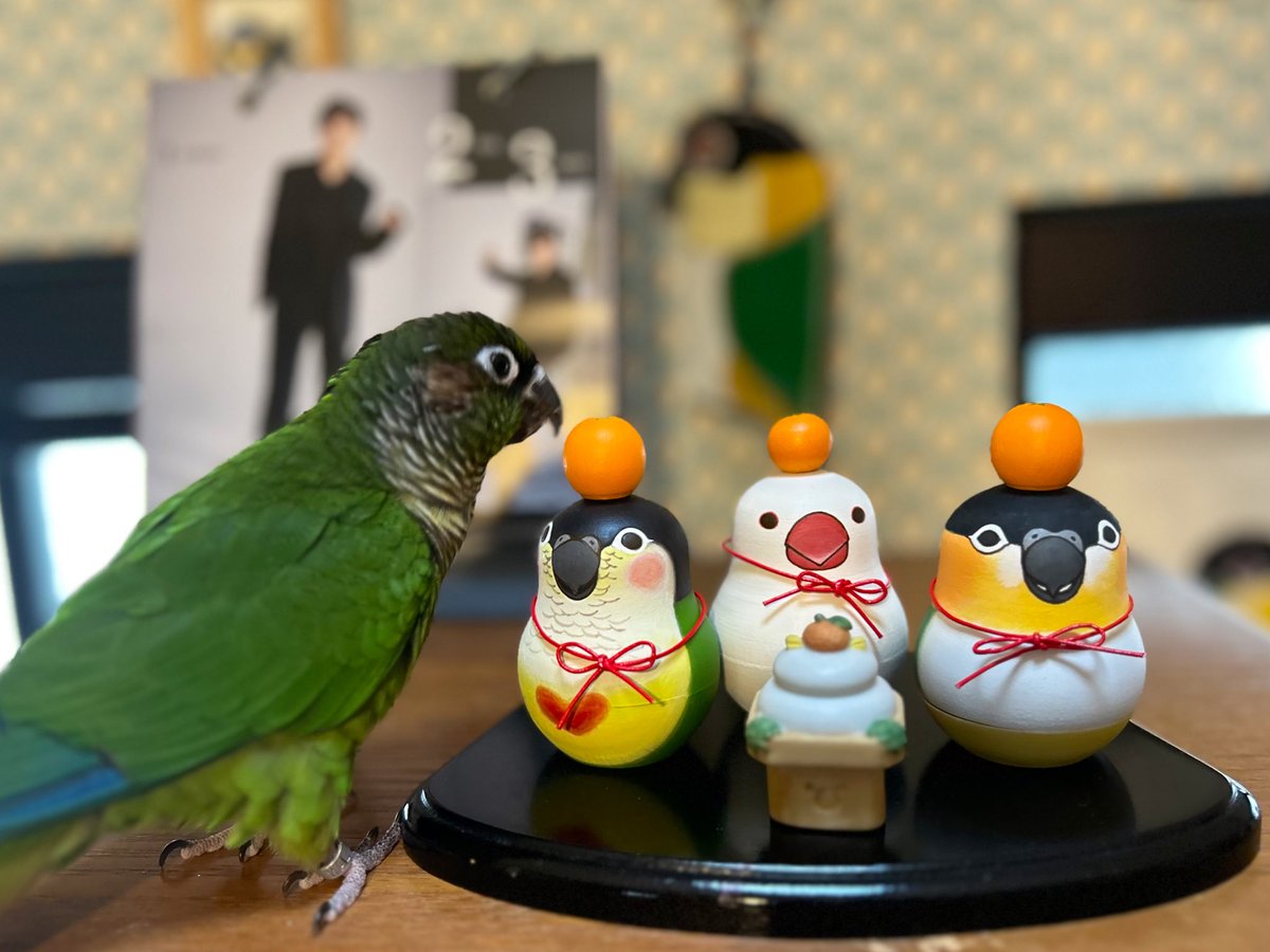 maki*🍀 tweet media