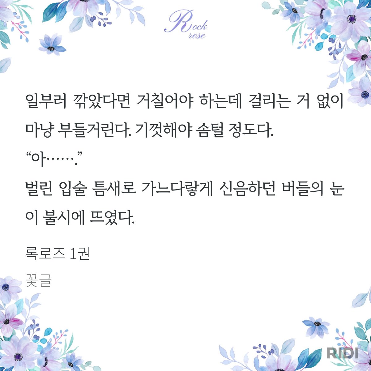김별비 tweet media