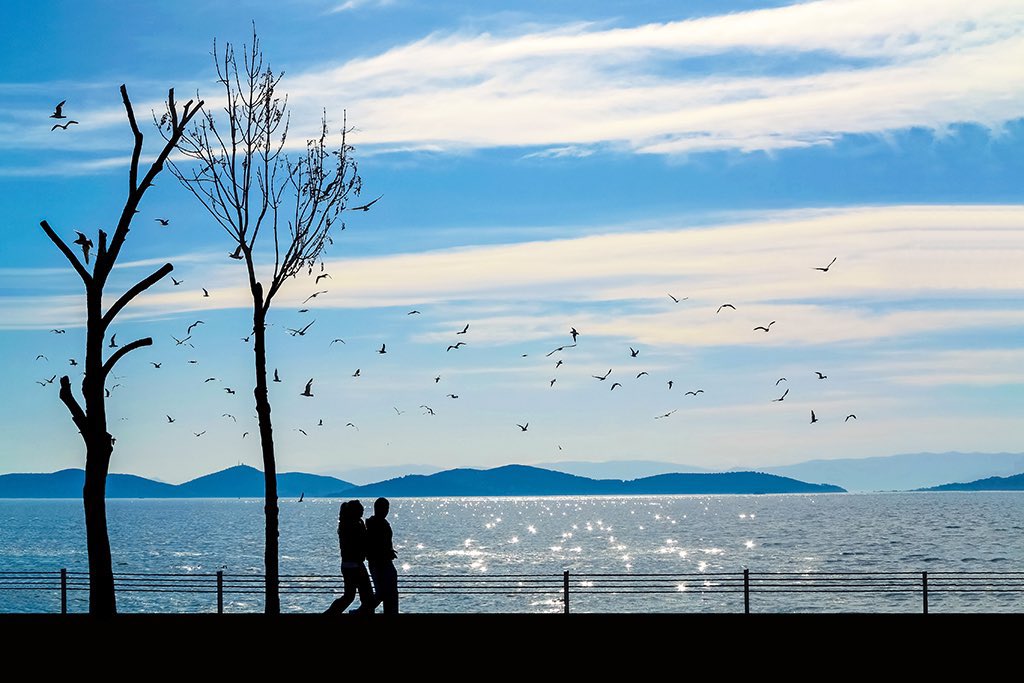 Good morning 🌤️☕️
First TezosTuesday of the year!
And these beauties are available for collecting!