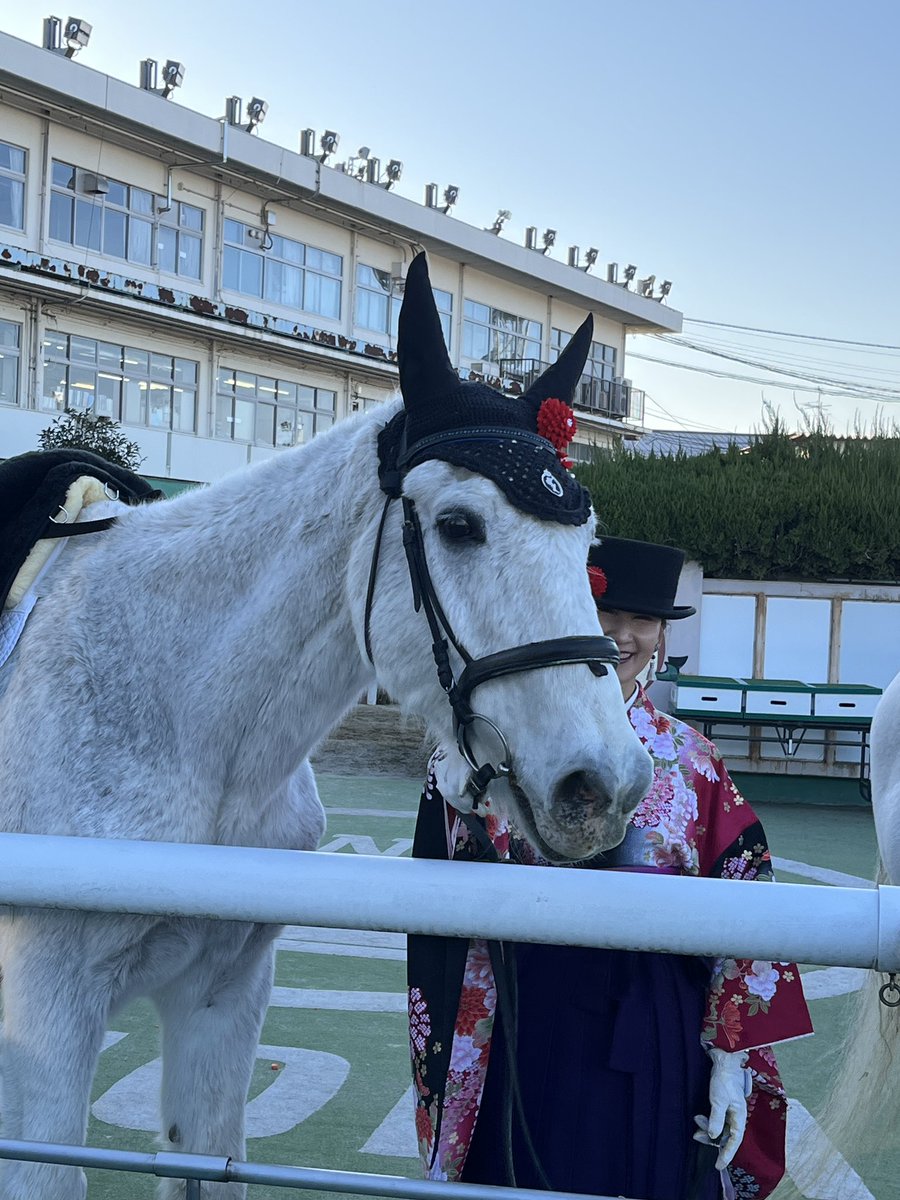 radical6523's tweet photo. 撮影会間に合った。アイスバーグも誘導馬で最高齢とか。 https://t.co/5P0wpQ9x60