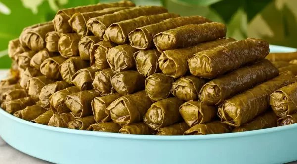 EliteHotelPetra's tweet photo. Grape leaves (dolma)
#grapeleaves #food #dolma #grapes #lebanesefood #grape #mediterraneanfood  #stuffedgrapeleaves #middleeasternfood #foodie #grapevine #grapevines #baklava #dolmades #delicious #vegan #lebanesecuisine #foodphotography #dolmas #greekfood #test #nature https://t.co/D3ciI7zRk6