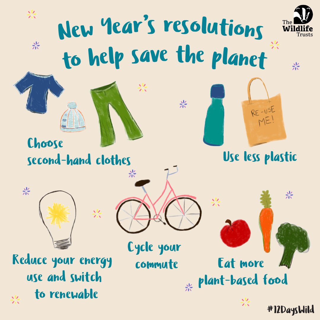 Help protect wildlife in 2024! 🎆 

Set yourself a New Year’s resolution to save the planet. From buying second-hand clothes to cycling to work, what will you do for day 9 of #12DaysWild? 🤔
