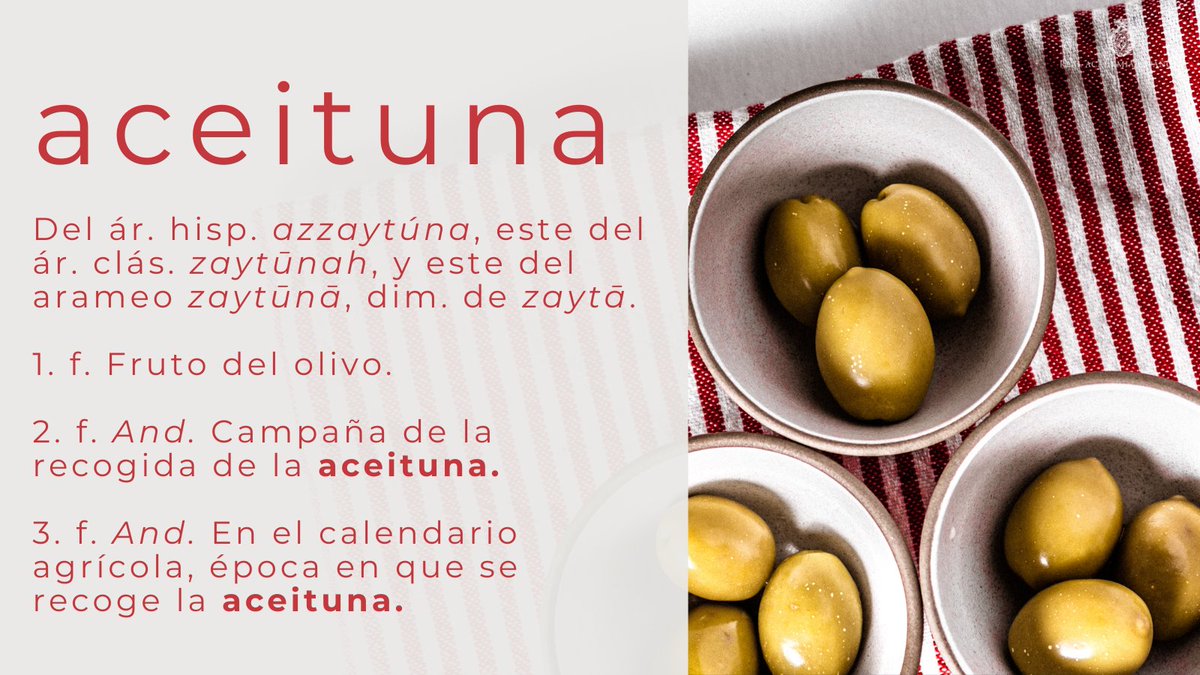 #PalabraDelDía | aceituna

Recuerden que «aceituna» y «oliva» (del latín «olīva») son voces igualmente válidas para aludir al fruto del olivo, si bien, en el caso del aceite, la denominación asentada es «aceite de oliva».