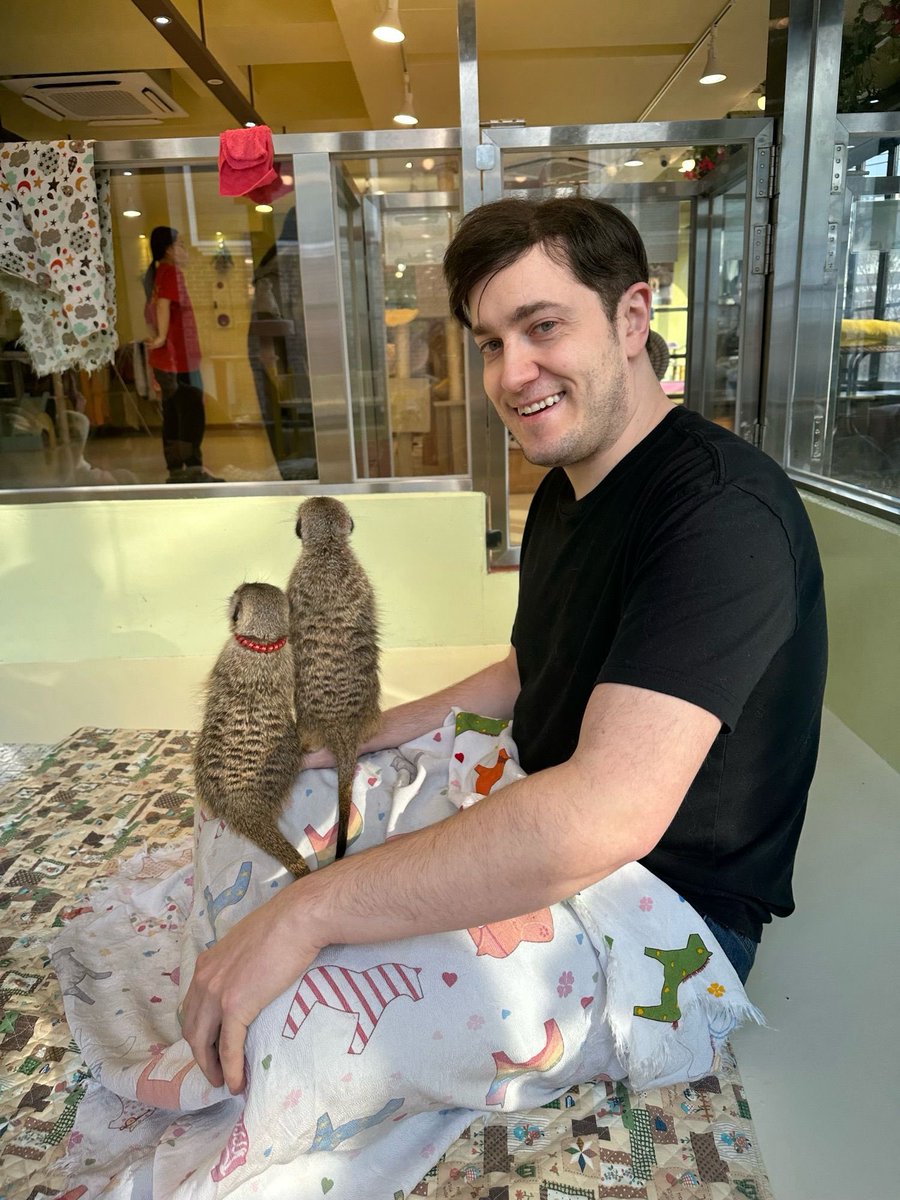 Ed Zitron tweet media