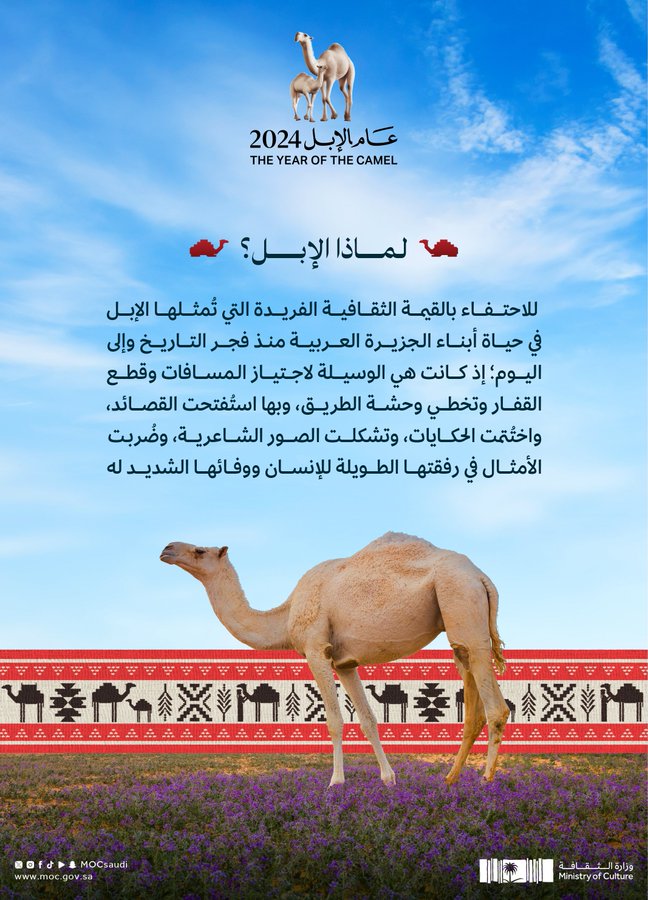 الصورة