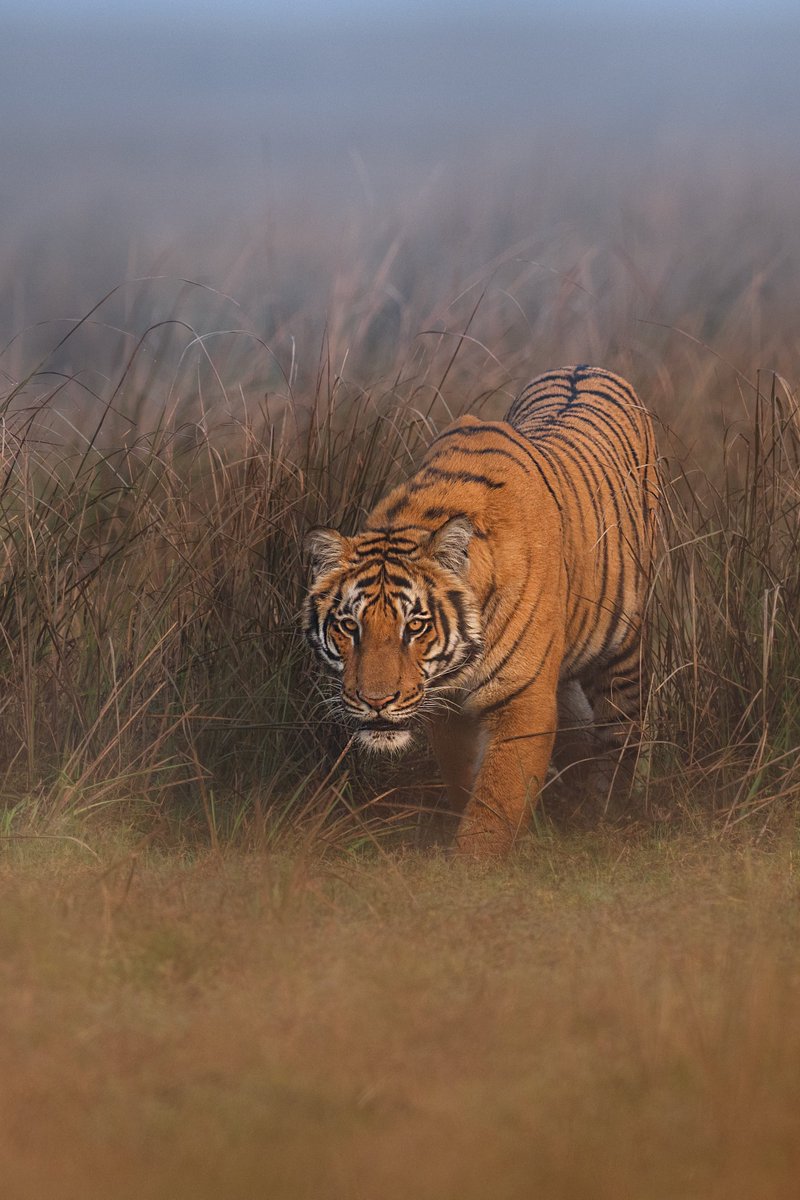 Subhash Nair tweet media