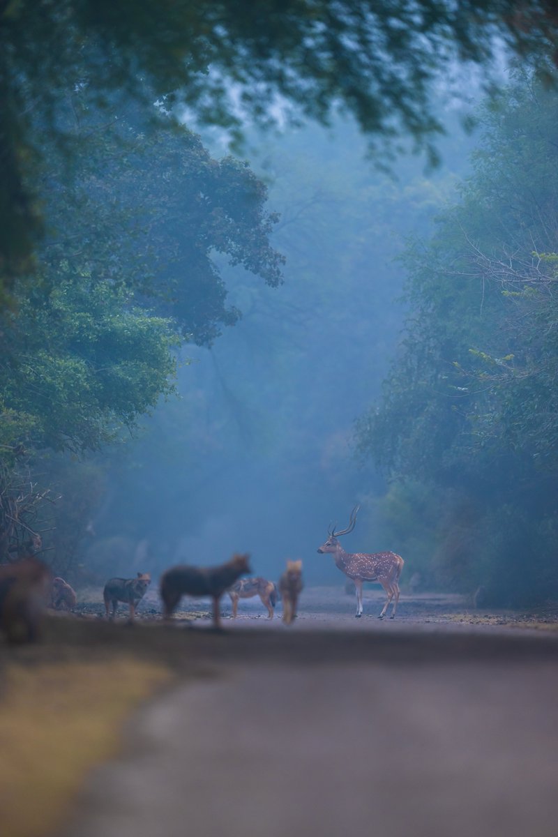 Subhash Nair tweet media