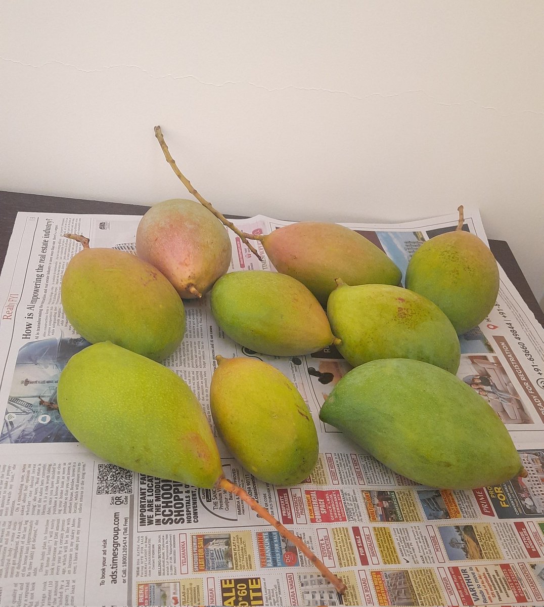 Daggubati1980's tweet image. The early crop #MangoFarm ❤️