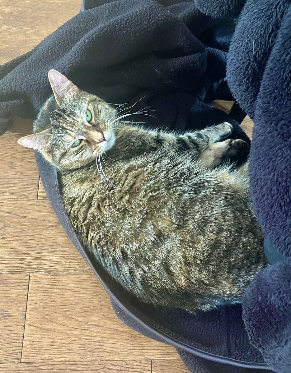 Yes, my daddy’s jacket fell on the floor on its own &amp; I just happened to end up sleeping on it. What’s your point??