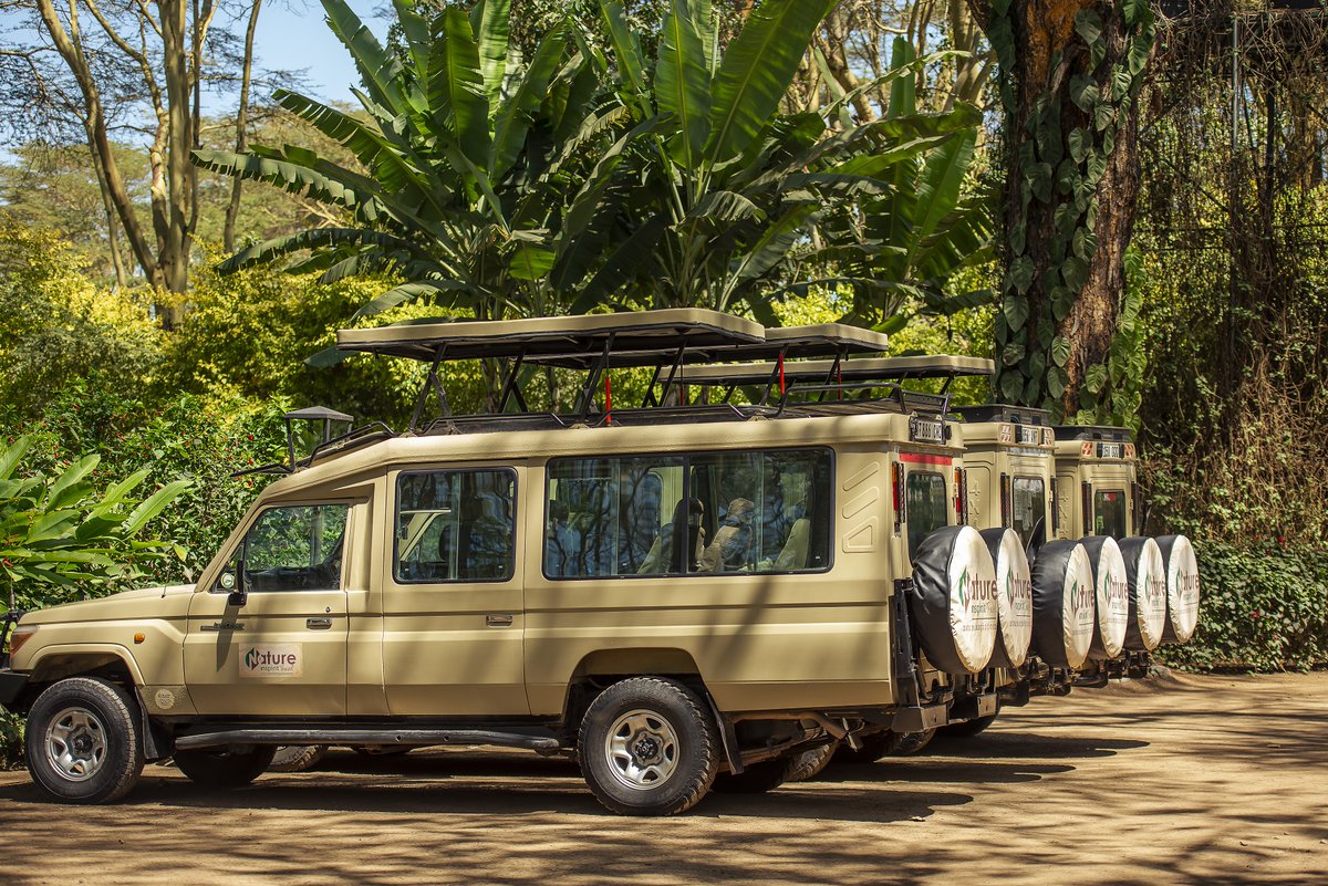 NatureinSpirit3's tweet photo. Happy New year 2024!
Welcome to Nature In Spirit Travel, Welcome to our beloved Continent!
We are ready to take you on Safari and offer you an unforgettable experience.
Chat with one of our experts to discover more about our  2024 Safari packages with more than 10% off discount. https://t.co/jZtl38FRQS