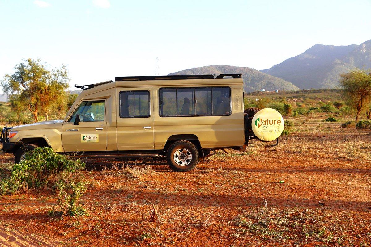 NatureinSpirit3's tweet photo. Happy New year 2024!
Welcome to Nature In Spirit Travel, Welcome to our beloved Continent!
We are ready to take you on Safari and offer you an unforgettable experience.
Chat with one of our experts to discover more about our  2024 Safari packages with more than 10% off discount. https://t.co/jZtl38FRQS