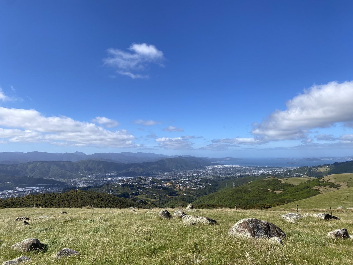 kiddie_rina's tweet image. Wellingtonの４大都市を見渡せるBelmont Regional Park。草をかき分けた自然の道を歩いたのちに広がる壮大な景色は、一気に爽快な気分にしてくれる⛰
今年もたくさんのトレッキングを目一杯楽しむ！(雨風すごすぎて基本夏のみ)
#LowerHutt #BelmontRegionalPark