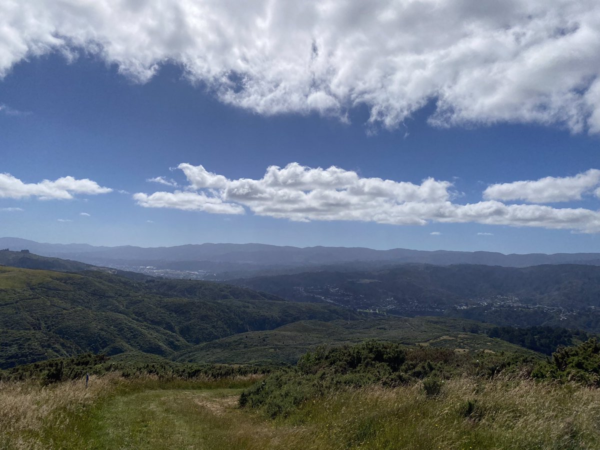 kiddie_rina's tweet image. Wellingtonの４大都市を見渡せるBelmont Regional Park。草をかき分けた自然の道を歩いたのちに広がる壮大な景色は、一気に爽快な気分にしてくれる⛰
今年もたくさんのトレッキングを目一杯楽しむ！(雨風すごすぎて基本夏のみ)
#LowerHutt #BelmontRegionalPark