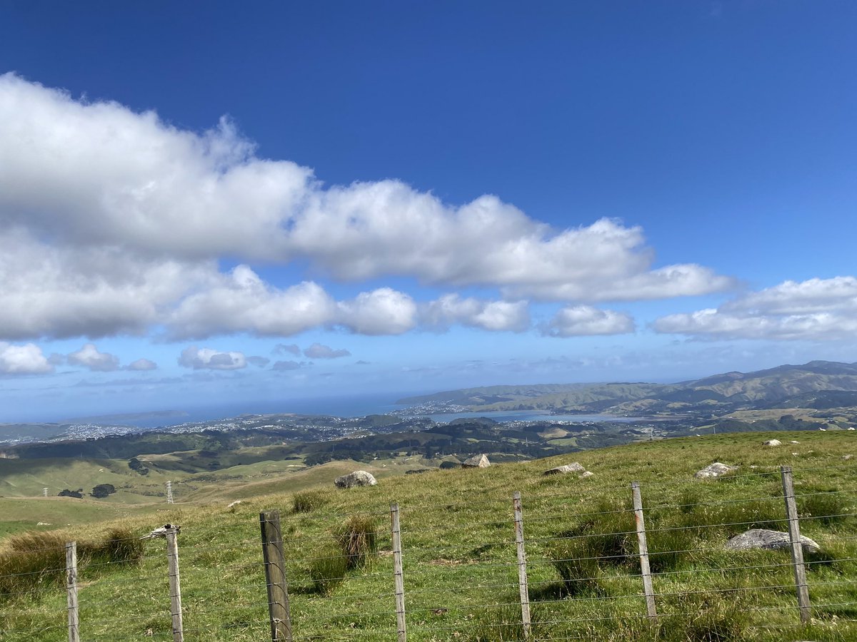 kiddie_rina's tweet image. Wellingtonの４大都市を見渡せるBelmont Regional Park。草をかき分けた自然の道を歩いたのちに広がる壮大な景色は、一気に爽快な気分にしてくれる⛰
今年もたくさんのトレッキングを目一杯楽しむ！(雨風すごすぎて基本夏のみ)
#LowerHutt #BelmontRegionalPark