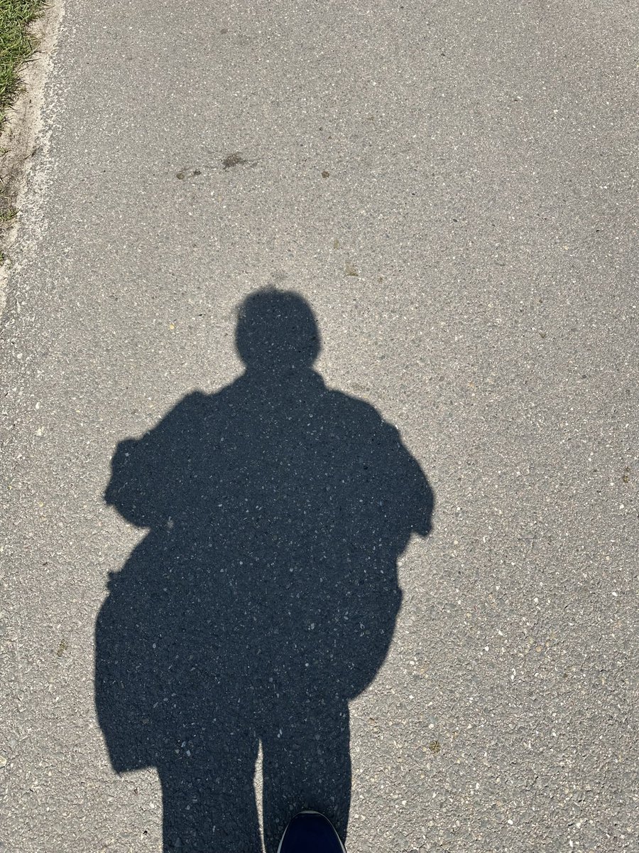 peetweer1's tweet photo. @reyneveld Lekker wandelen https://t.co/SHAOTodurM