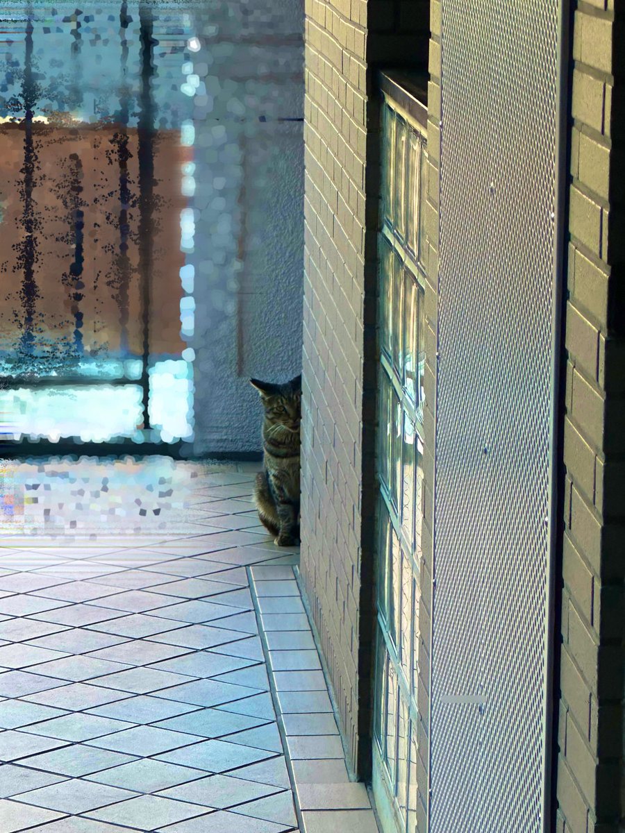 DogSaucy's tweet photo. ねっこ https://t.co/zaqnqmANj9