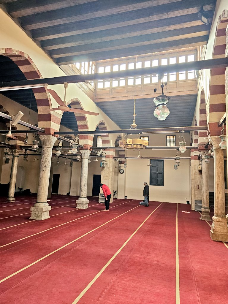 eltorbany's tweet photo. إن الطيور وإن قصصت جناحها ترنو بفطرتها إلي الطيران https://t.co/mlXrA1sK83
