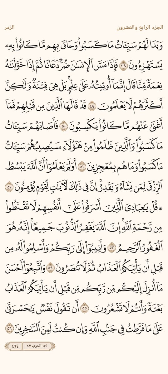 AlMosahf's tweet photo. ورد الأربعاء https://t.co/dT9ZnffWiw