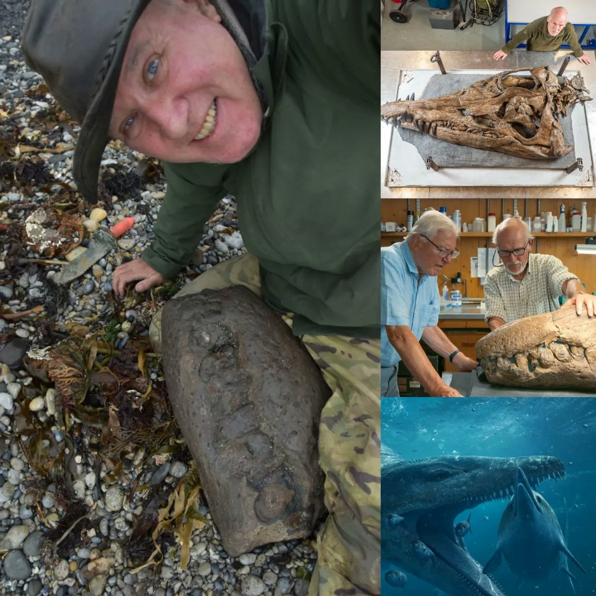 The giant pliosaur skull is a truly fantastic discovery. I hope you enjoyed watching "Attenborough and the Giant Sea Monster".

Pictured here is Phil Jacobs the day he spotted the enormous snout tip. Look at that grin! He deserves a huge amount of credit and kudos.