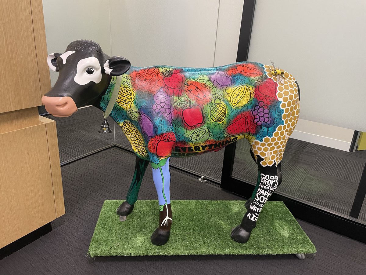 Dairy farmers in GC, Scenic Rim, Logan impacted by storms
Disaster Assistance Loans or Essential Working Capital Loans: contact QRIDA 1800 623 946 qrida.qld.gov.au
Freight subsidies Contact DAF 13 25 23 or daf.qld.gov.au
Personal Hardship Paymt: Hotline 1800173349