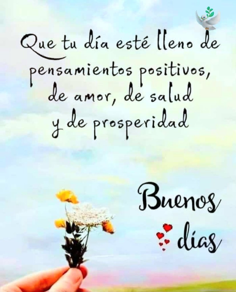 Buenos días gente !!!
#FelizañoNuevo2024 🙏
#FelizMartesATodos  🌻 🤗 🙌🏻 🍀