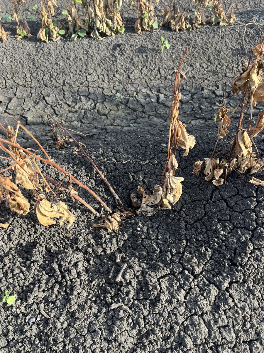 Andrew Uphill tweet media