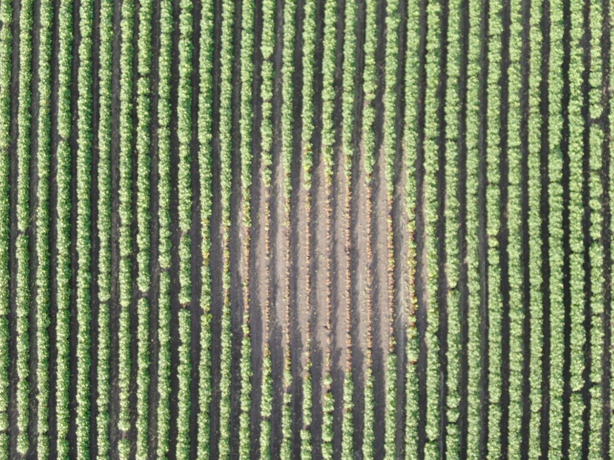 Andrew Uphill tweet media