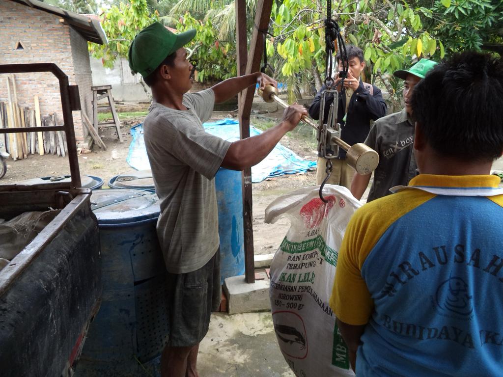 Dede020588's tweet photo. (13/11/2023),Dede Surya,S.Pi,Luhkan Kab. Serdang Bedagai , Pokdakan tirta jaya, Desa Lubuk Bayas,  Produksi Hasil budidaya nila melaporkan produksi 85 kg dengan harga Rp. 19.000/kg) #GiatLuhkanSatminkalMedan #luhlapor https://t.co/sQn3oU33Bg