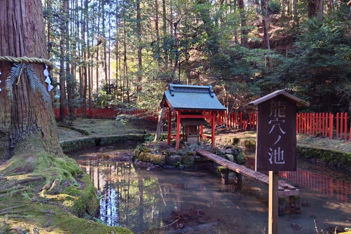 SuwaShu's tweet photo. 石山寺を参拝して、瀬田川沿いを散歩して来ました！
いい天気で汗ばむほど暖かかったです！ https://t.co/qaF3yyBfKn
