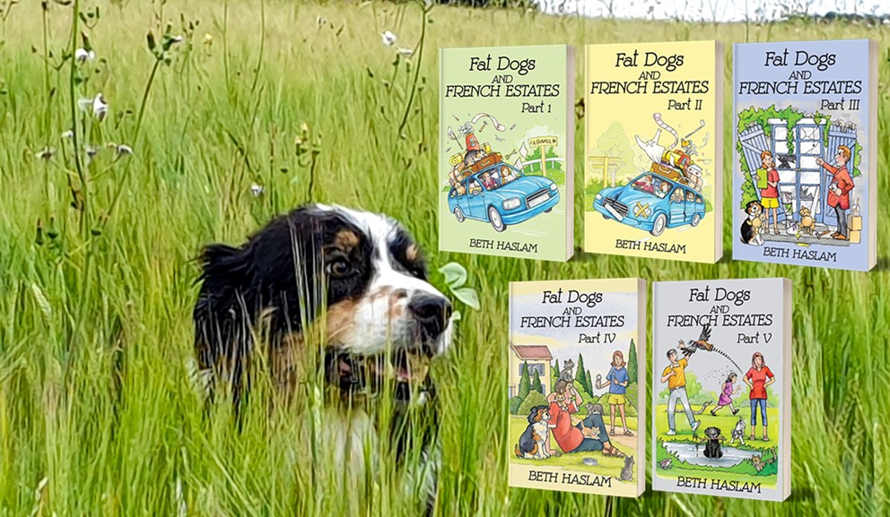 fatdogsfrance's tweet photo. Fancy going on a grand adventure? Join my Fat Dogs and me in France. There's never a dull moment! 😊🐾
https://t.co/kFqE1K60mB
#BookTwitter #BooksWorthReading #readingforpleasure #welovememoirs https://t.co/mm67qzn2Rb