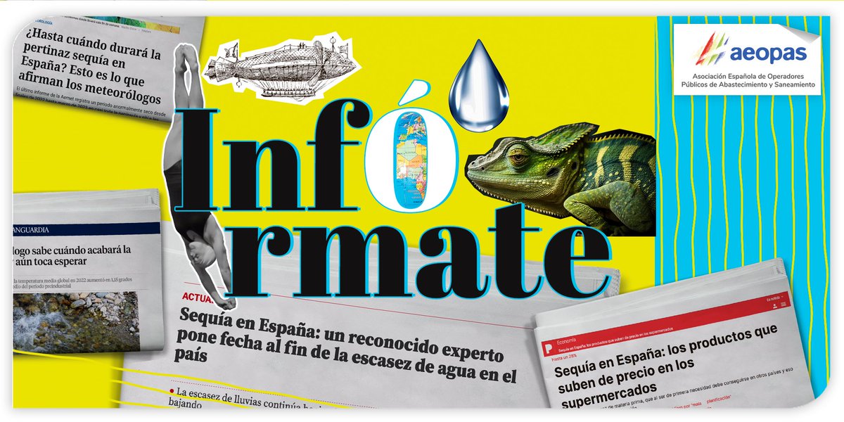 ProGrifo tweet picture