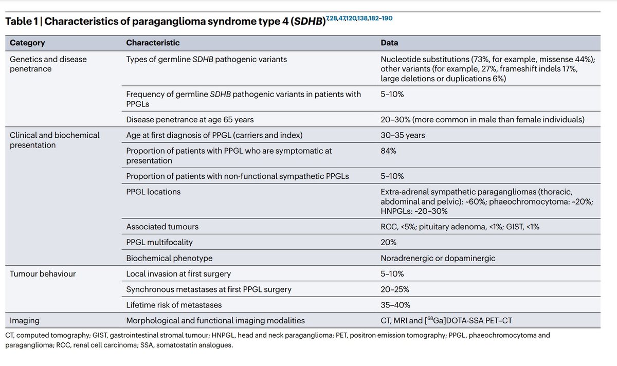 📌 Characteristics of #paraganglioma syndrome type 4 (#SDHB).

Ref. 🖇️ t.ly/yeahH

#EndoTwitter #MedTwitter #Phaeochromocytoma  #PPGL