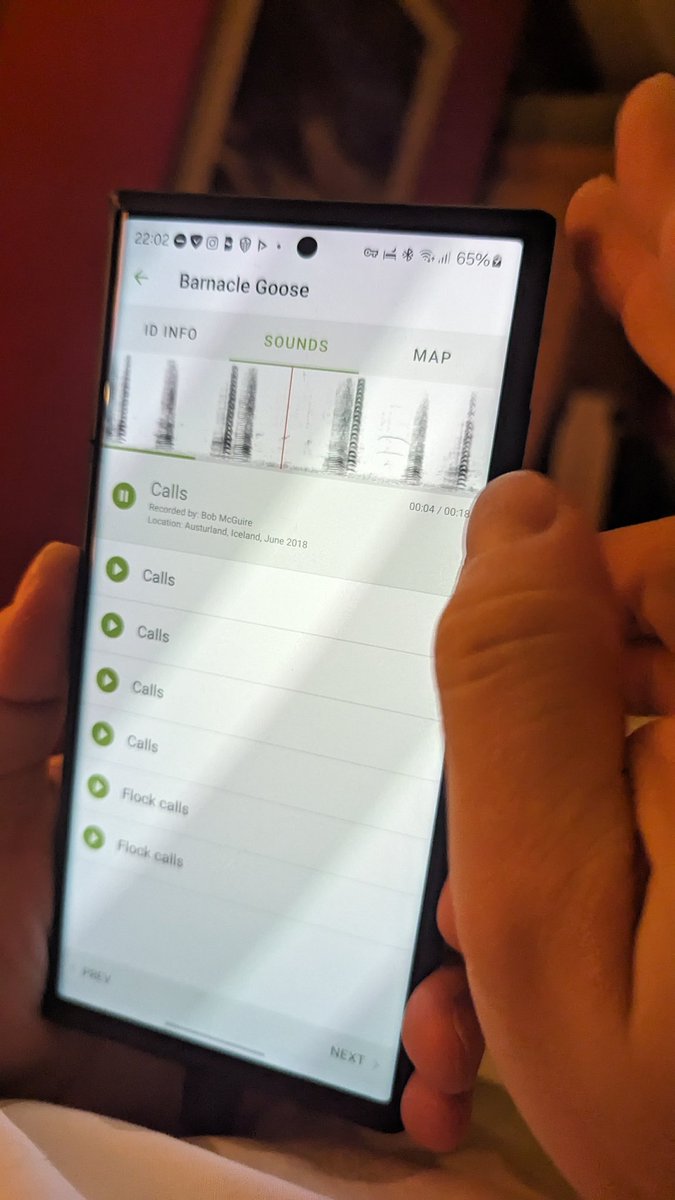 Lucy Moore tweet media