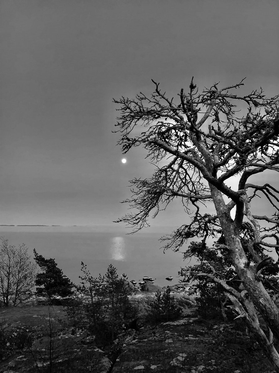 Elämän alkutaipaleella olemme täynnä uhoa, näyttämisen ja paisumisen tarvetta. Vähitellen alamme ymmärtää, että suunta onkin päinvastainen: kohti pienuutta, nöyryyttä ja haavoittuvuutta. Ihmisenä oleminen onkin ihmiseksi tulemista.