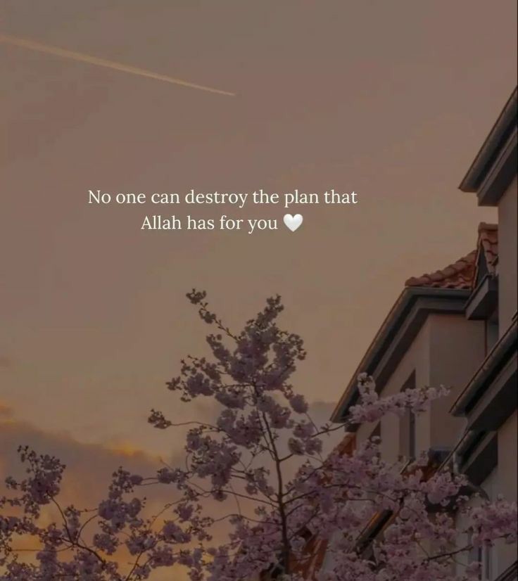 #Japan #earthquake #Bitcoin #เบียร์thevoice #RoseBowl2024