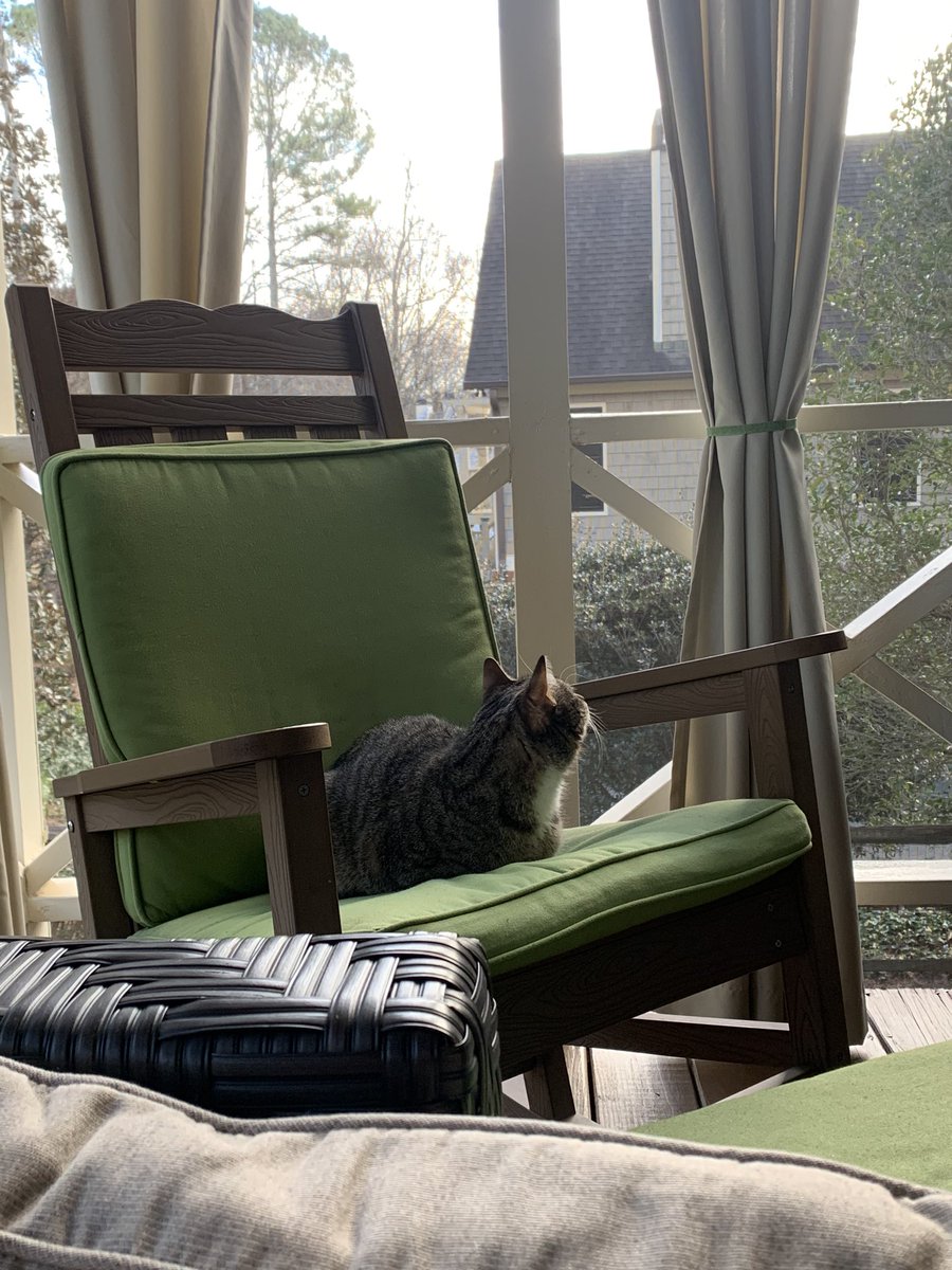 raspberrycat_'s tweet image. wowe!!! 🤩🤩🤩🤩 mine favorit show (screan windowe) imersive xpeereence at gandma gampa hous 😍😍😍 (holidae tripp)