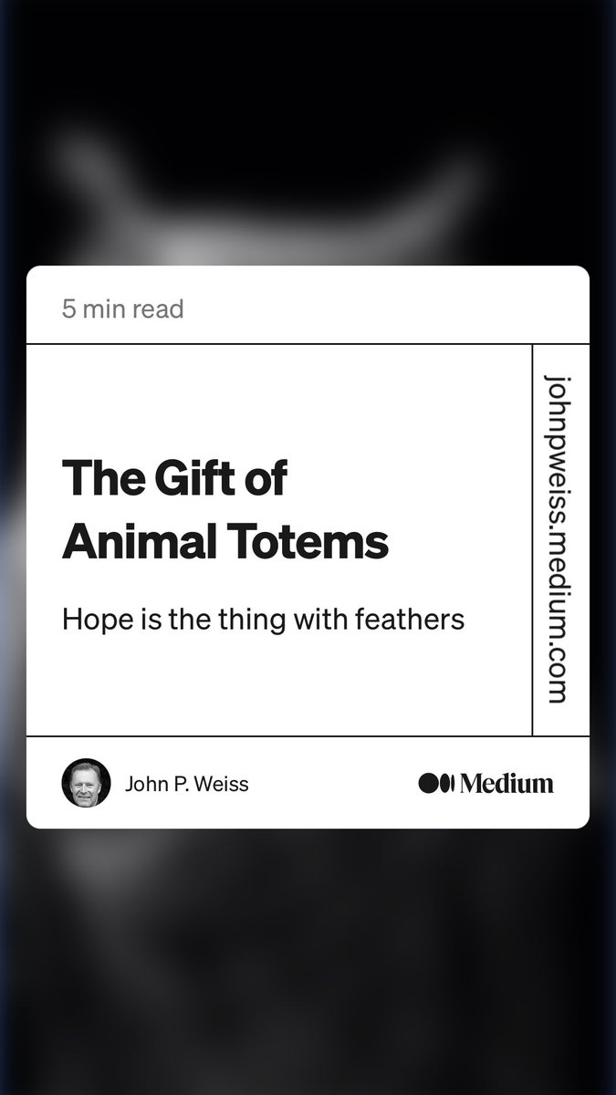 “The Gift of Animal Totems” by John P. Weiss
johnpweiss.medium.com/the-gift-of-an…
