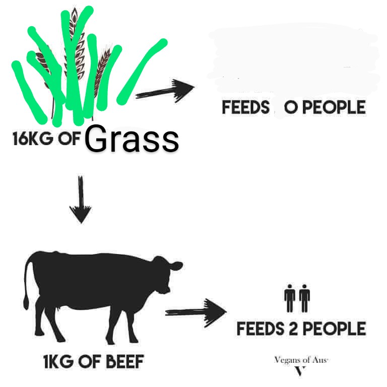 untappedgrowth's tweet photo. Here I fixed it for you

Grass is everywhere, needs mowing or land degrades, &amp; only ruminants eat enough of it to do something with it https://t.co/kWoW4esfYa