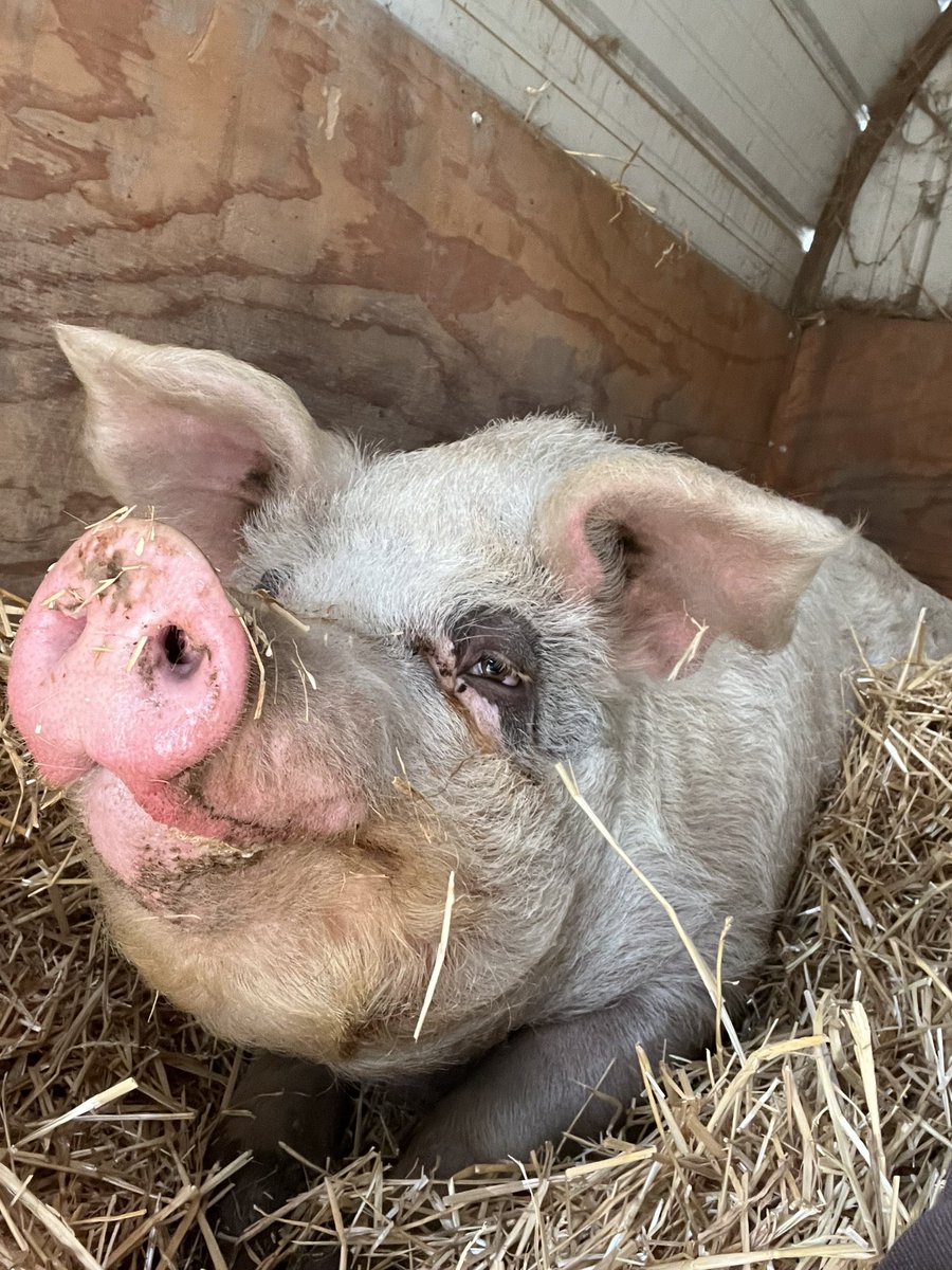 Randy Grim tweet media