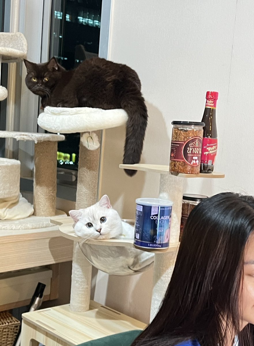 ช่วยกันทำมาหากินหน่อย5555เดี๋ยวน้าเองไม่แบ่งให้มรดกนะลี่ 

vt.tiktok.com/ZSN7FqUFt/